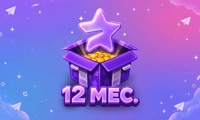 Premium 12 months